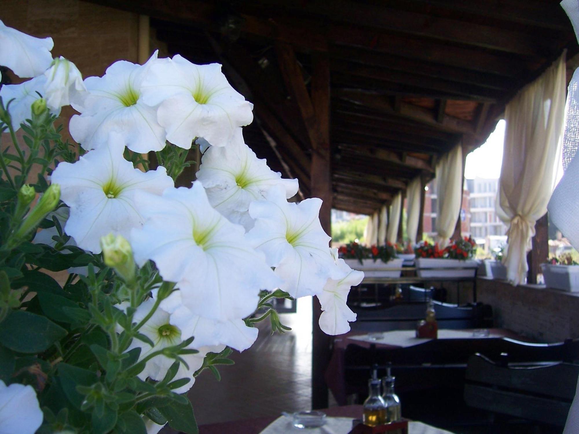 Hotel Luxor Lozenets Buitenkant foto